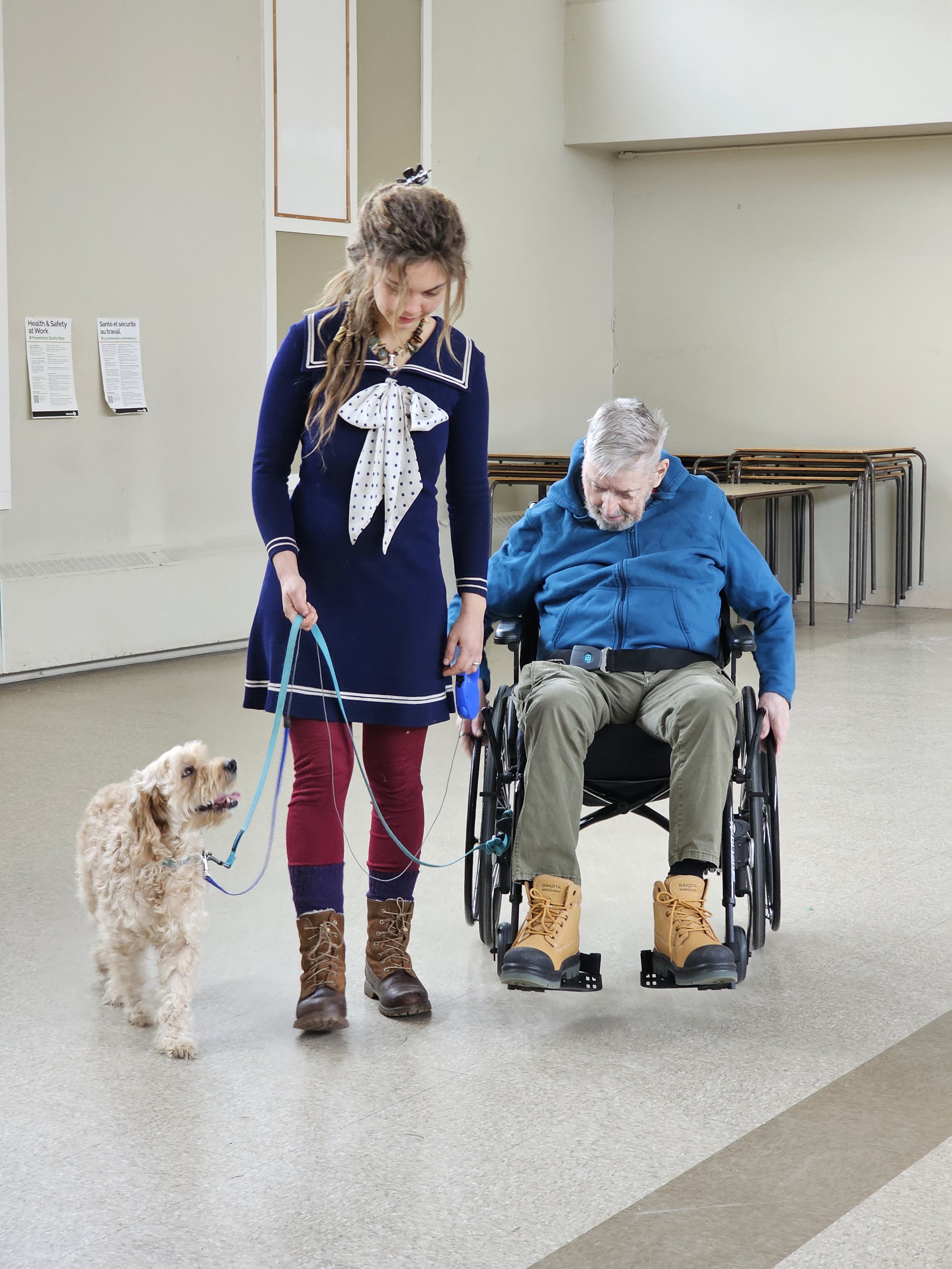 une assistante marche un chien avec un membre de cœur qui est dans un fauteuil roulant